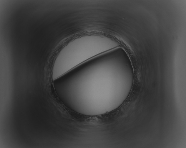 X0000100900968200806241027