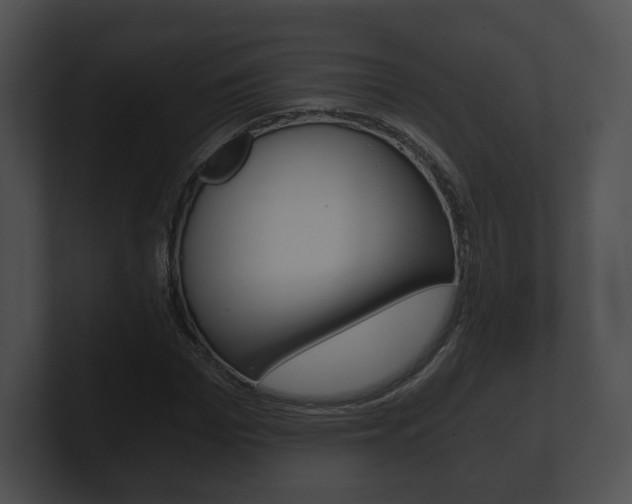 X0000100900969200806241027