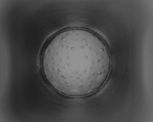 X0000100900974200806241027