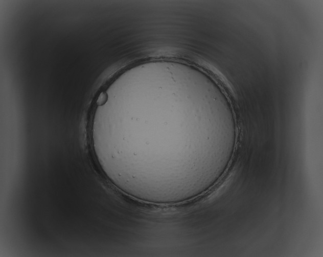 X0000100900978200806241027