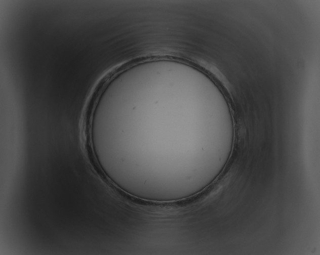 X0000100900979200806241027