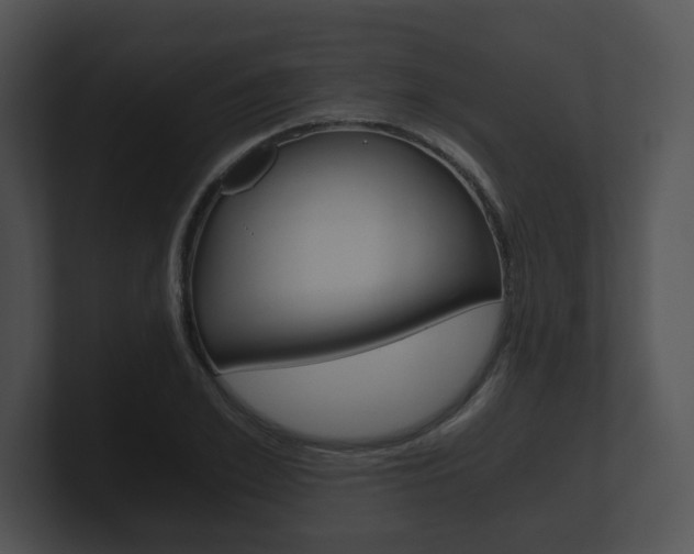 X0000100900981200806241027