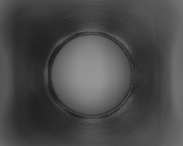 X0000100900982200806241027