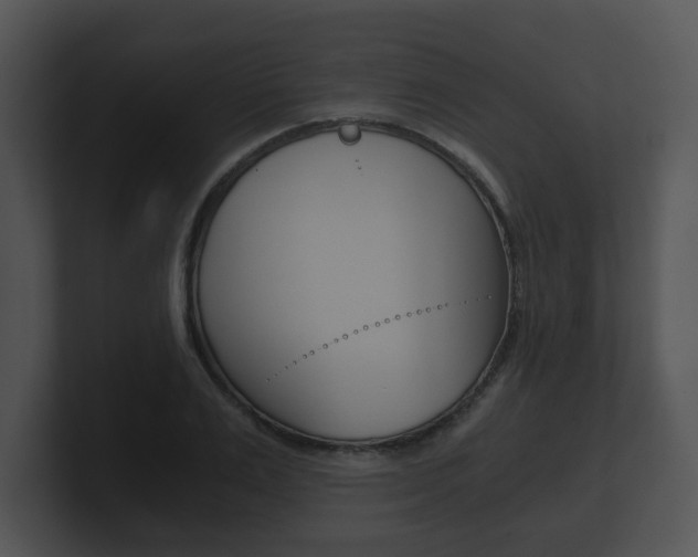 X0000100900983200806241027