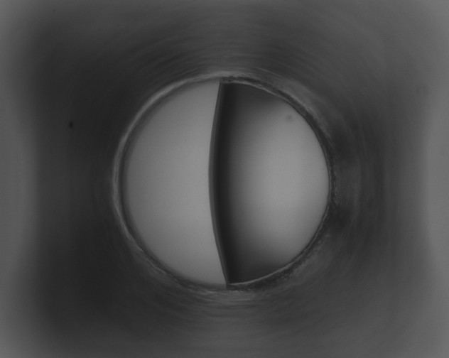 X0000100900984200806241027