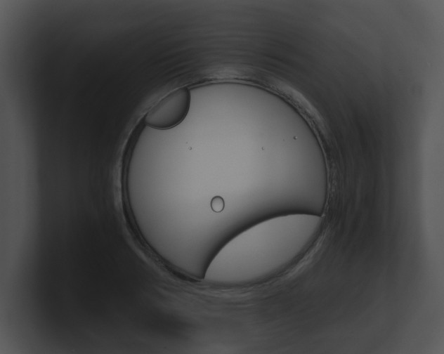 X0000100900986200806241027