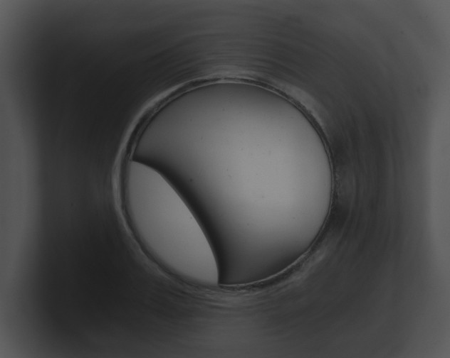 X0000100900987200806241027