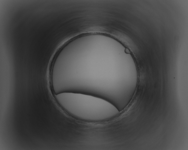 X0000100900990200806241026