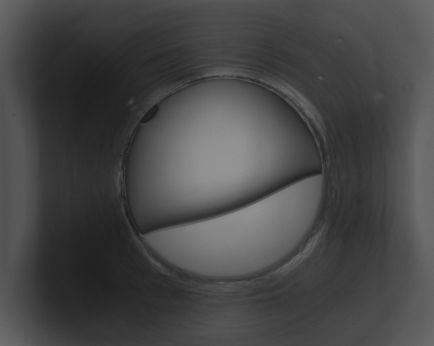 X0000100900993200806241026