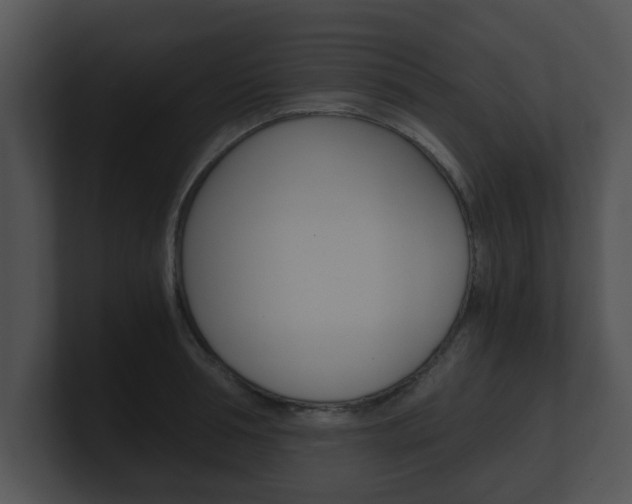 X0000100900994200806241026
