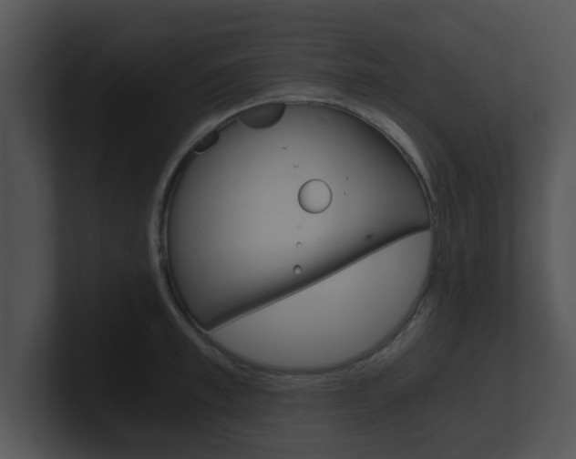 X0000100900997200806241026