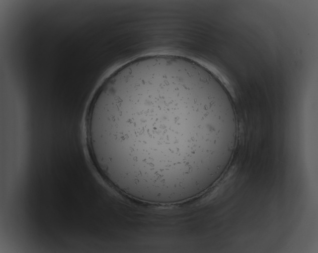 X0000100900998200806241026
