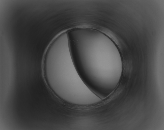 X0000100901000200806241026