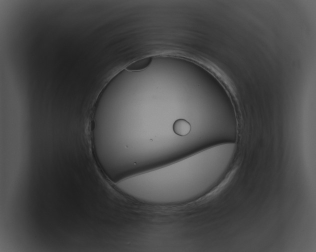 X0000100901001200806241026