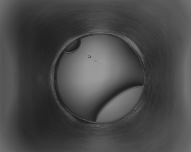 X0000100901005200806241026