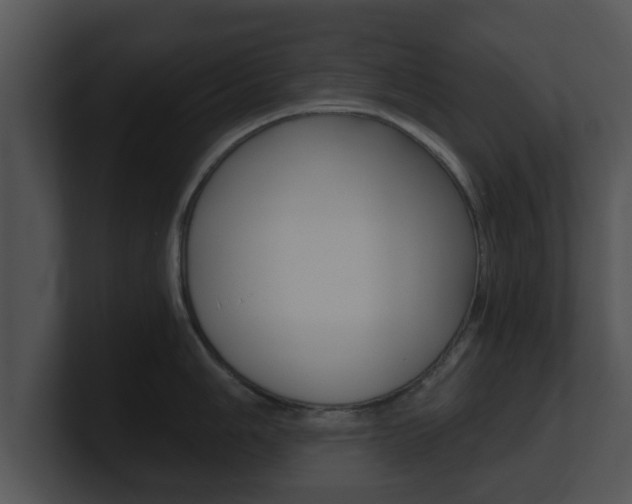 X0000100901006200806241026