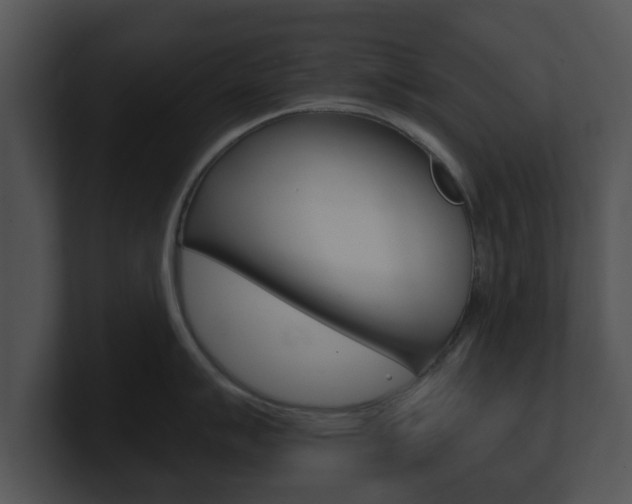 X0000100901007200806241026
