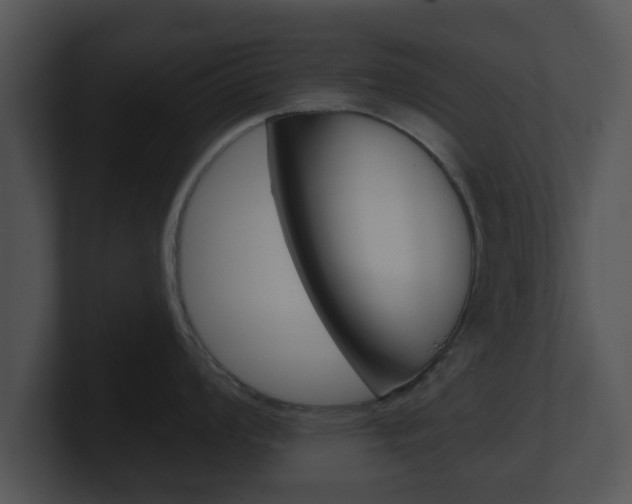 X0000100901008200806241026
