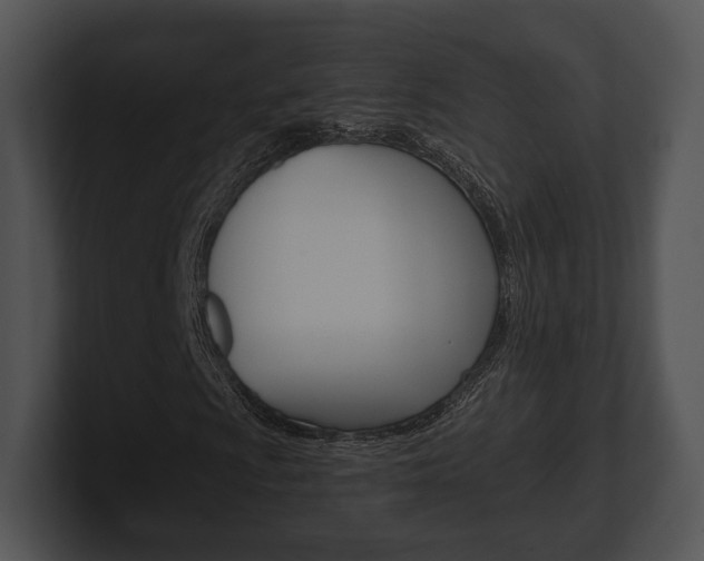 X0000100901009200806241026