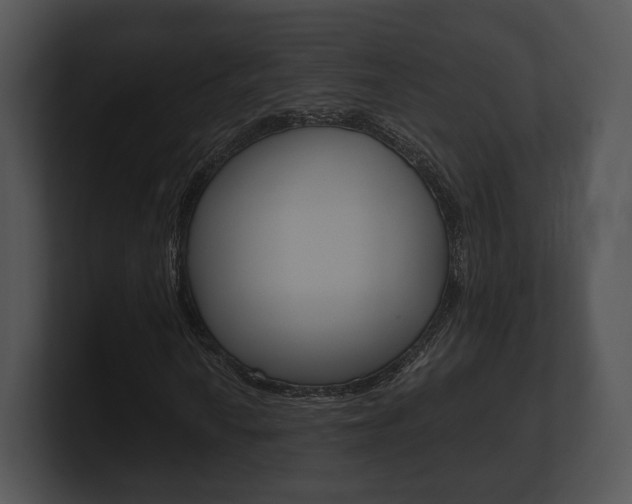 X0000100901010200806241026