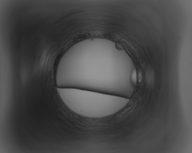 X0000100901011200806241026