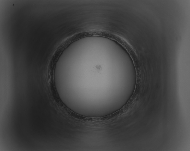 X0000100901016200806241026