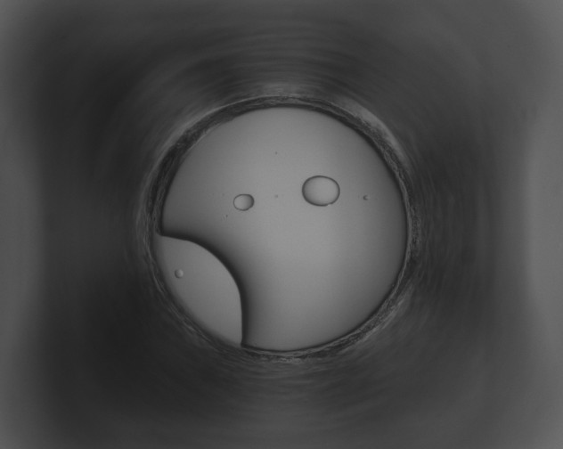 X0000100901019200806241026