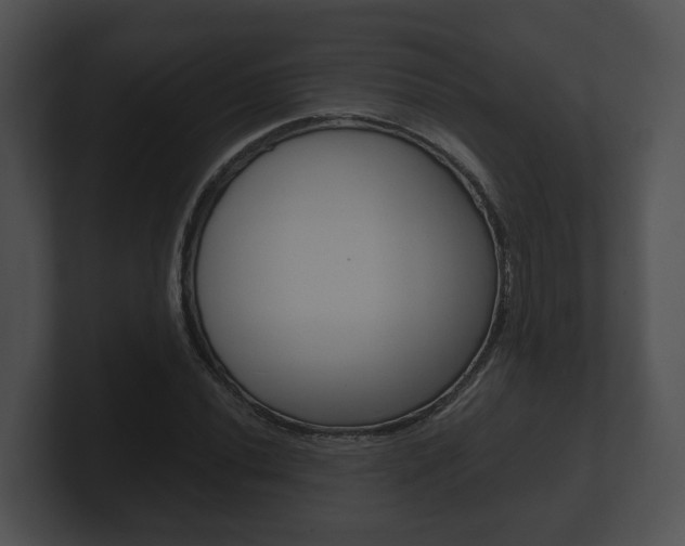 X0000100901020200806241026