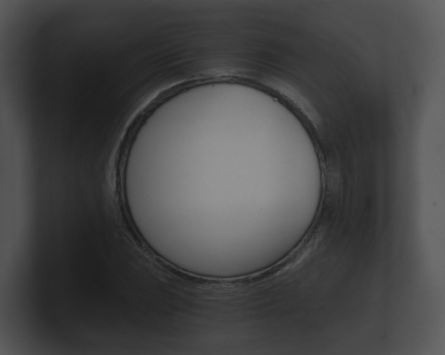X0000100901023200806241026