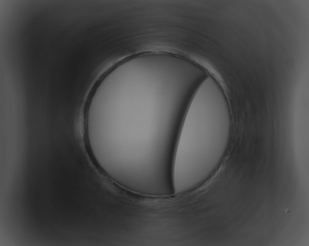 X0000100901040200806241026