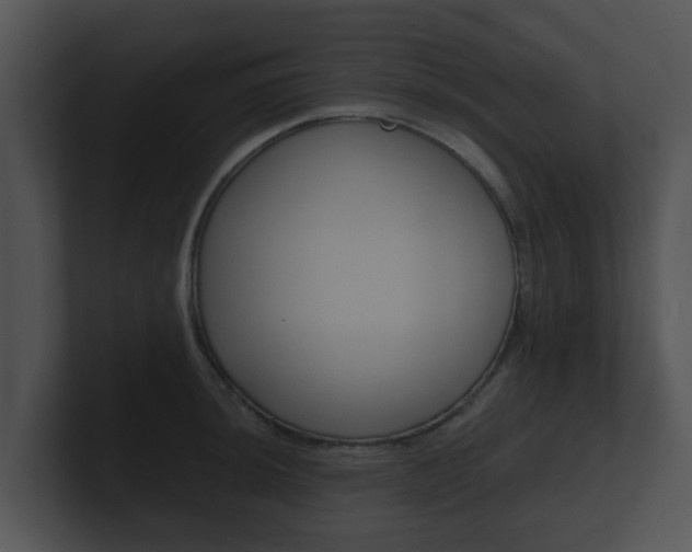 X0000100901044200806241026