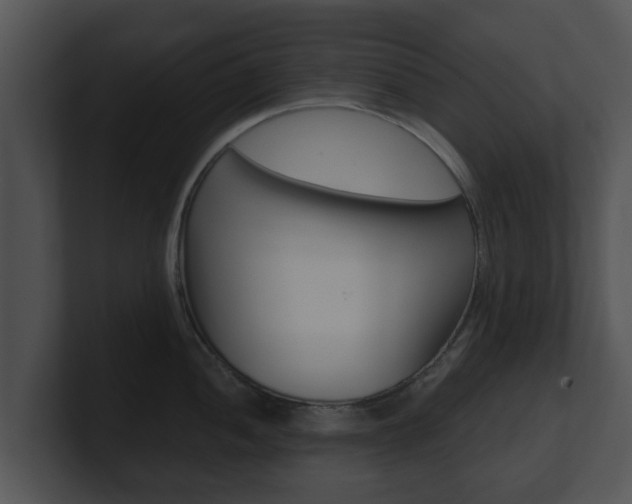 X0000100901052200806241026