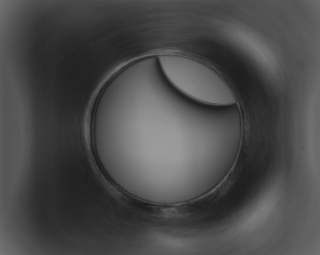 X0000100901054200806241026