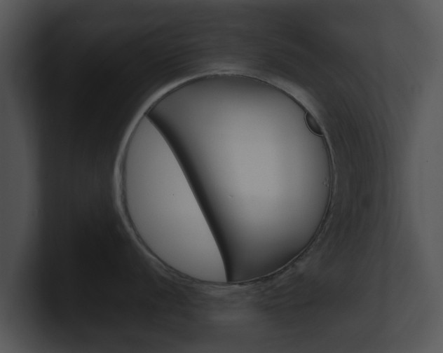 X0000100901056200806241026