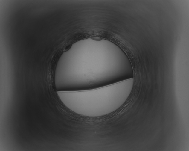 X0000100901058200806241026