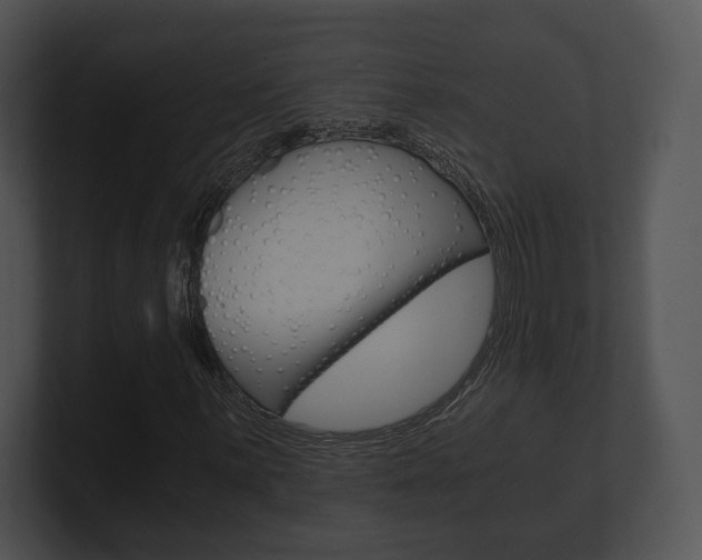X0000100901059200806241025