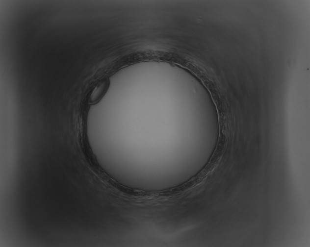 X0000100901061200806241025