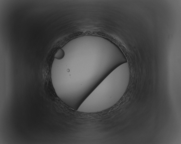 X0000100901063200806241025