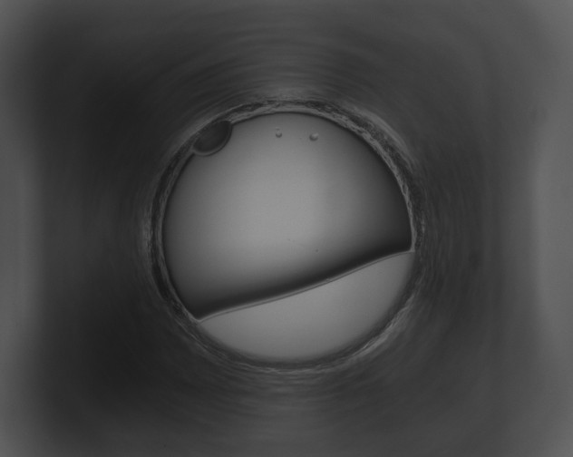 X0000100901065200806241025
