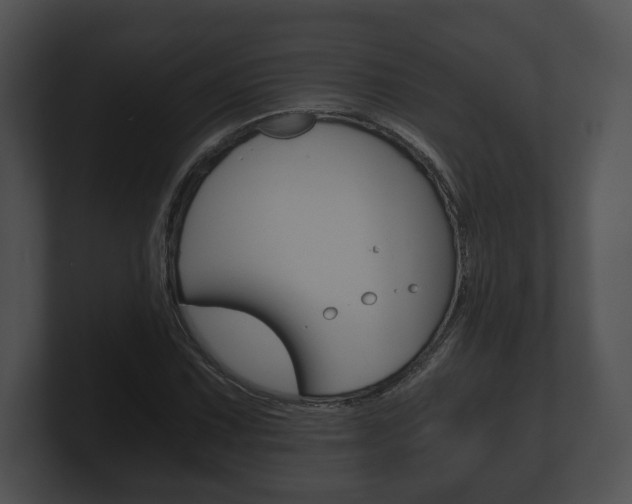 X0000100901067200806241025