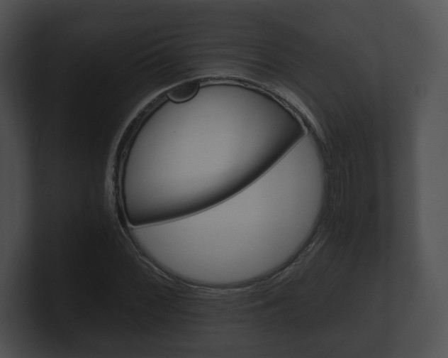 X0000100901068200806241025