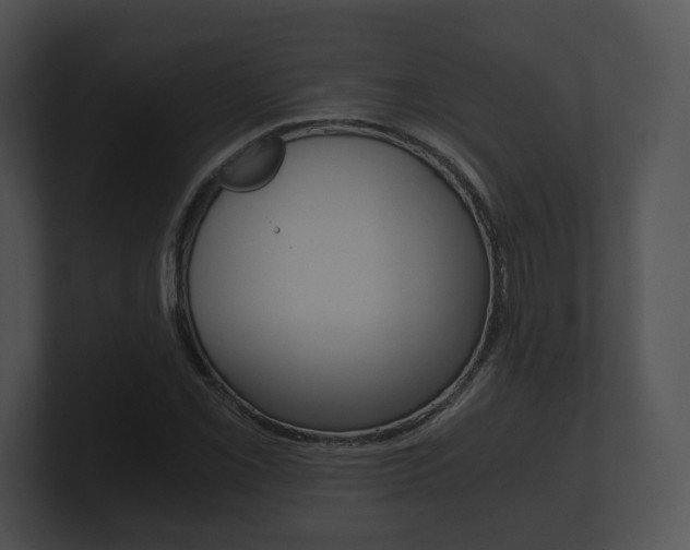 X0000100901069200806241025