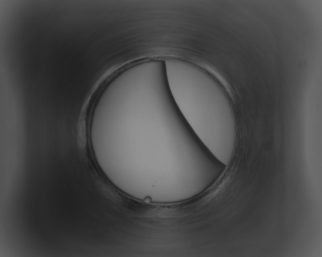 X0000100901075200806241025