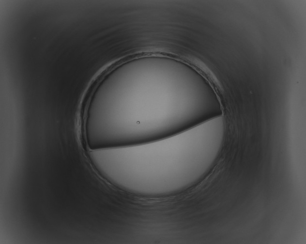 X0000100901076200806241025