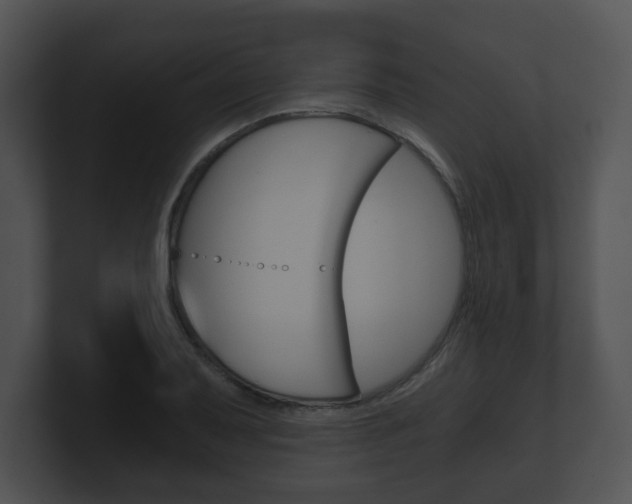X0000100901079200806241025