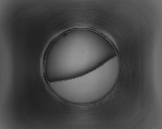 X0000100901080200806241025