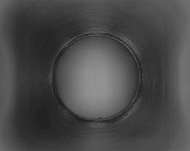 X0000100901081200806241025