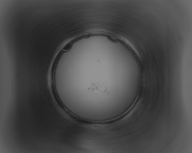 X0000100901082200806241025