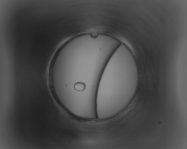X0000100901087200806241025