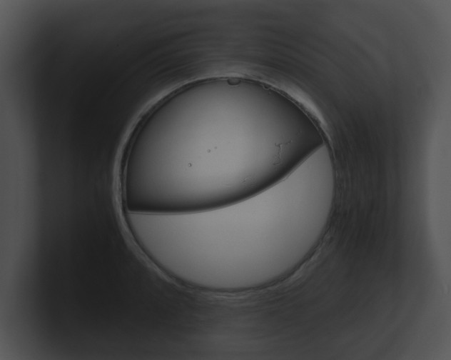 X0000100901088200806241025